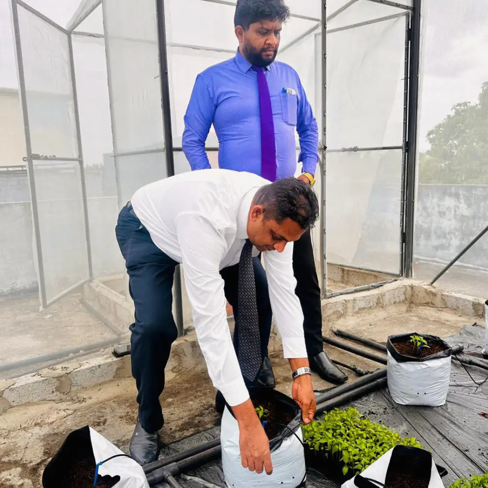 Polytunnels