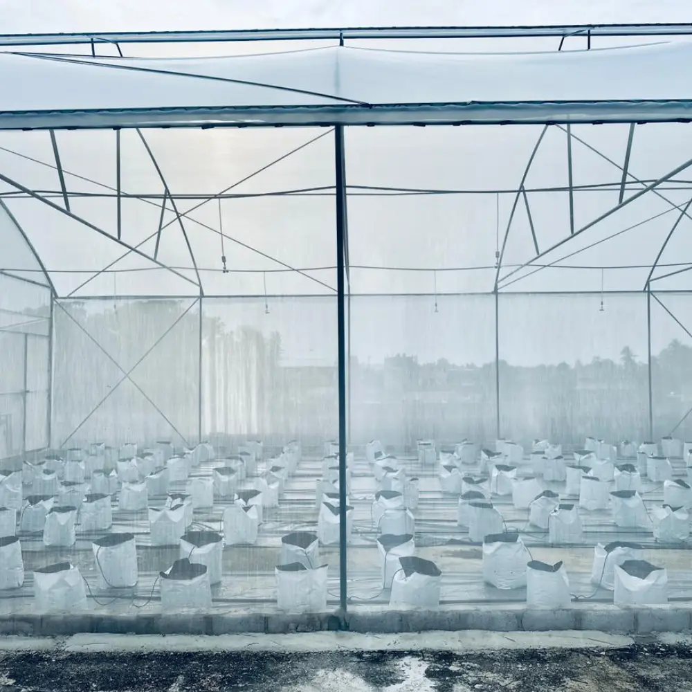 Polytunnels