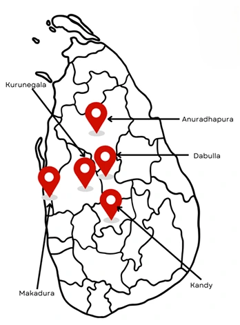 Our Projects