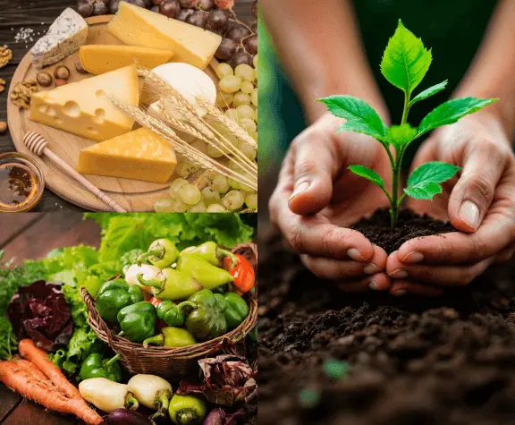 Sustainability